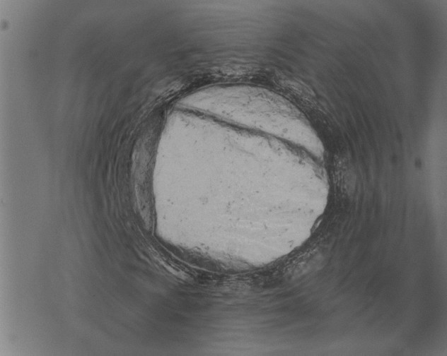 X0000073521009200608211759