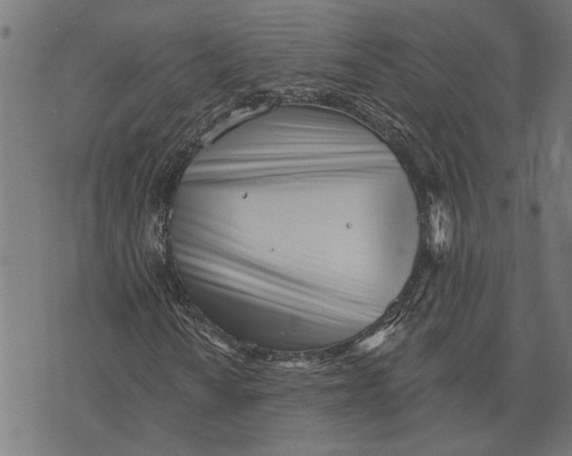 X0000073521010200608211759