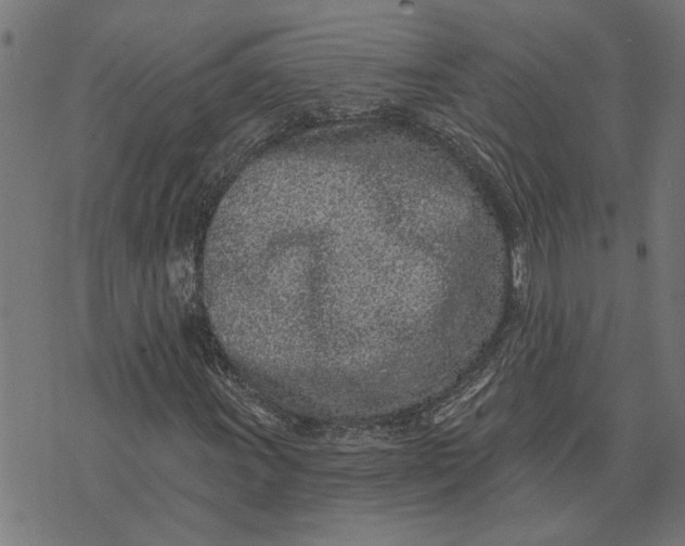 X0000073521011200608211759