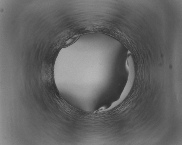 X0000073521012200608211759