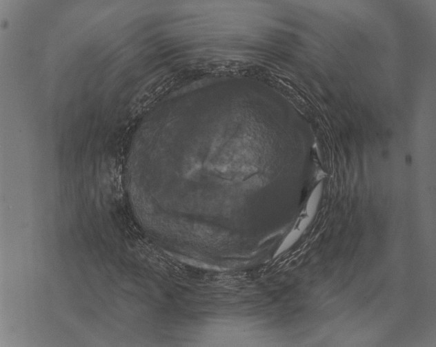 X0000073521013200608211759