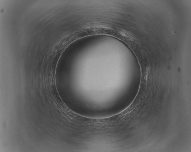 X0000073521014200608211759