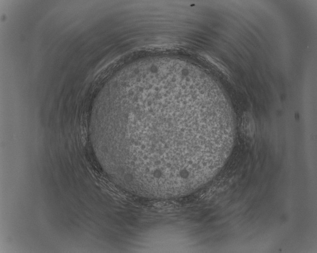 X0000073521015200608211759