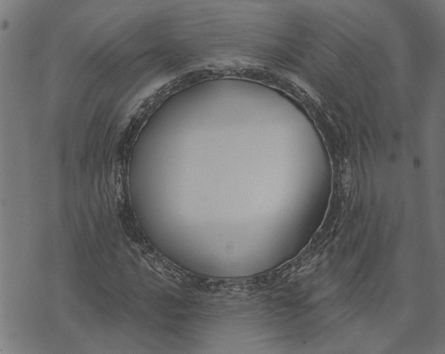 X0000073521016200608211759