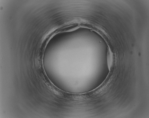 X0000073521018200608211759