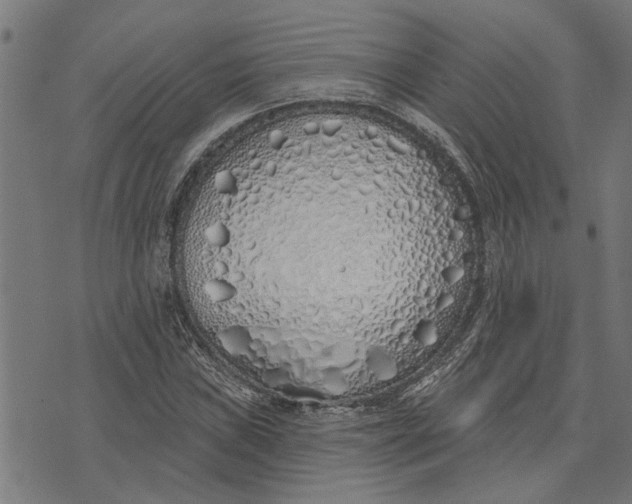 X0000073521019200608211759