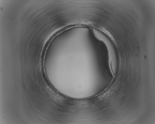 X0000073521020200608211759