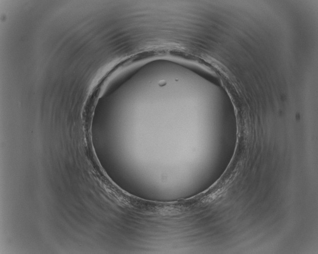 X0000073521022200608211759