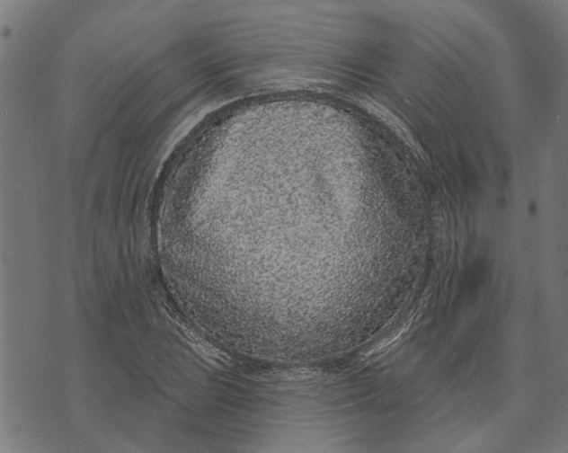 X0000073521023200608211759