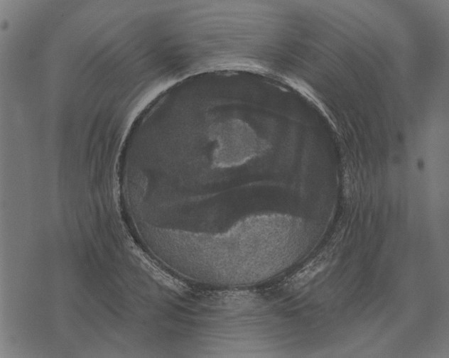 X0000073521024200608211759