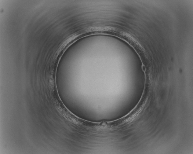 X0000073521025200608211759