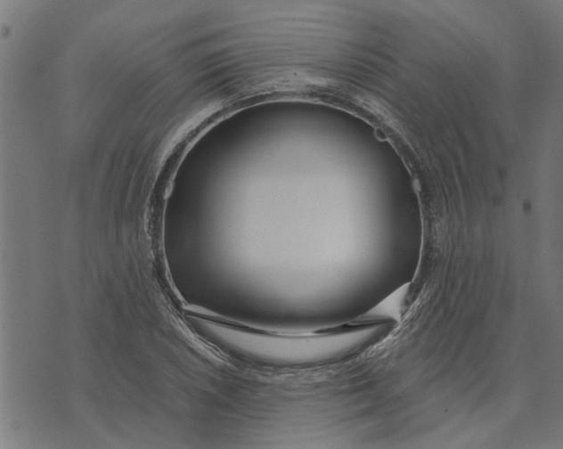 X0000073521026200608211759