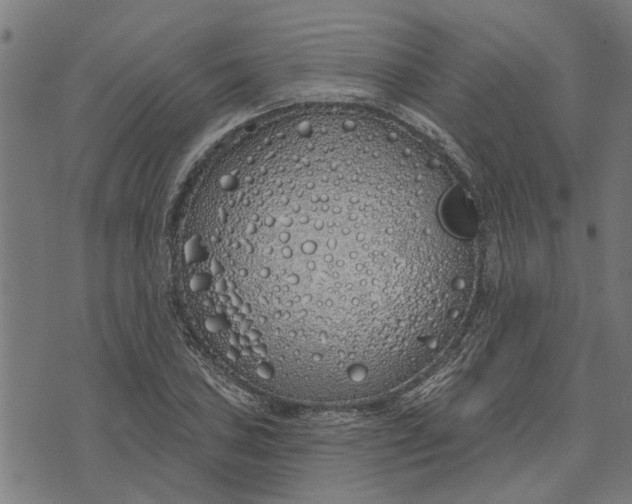 X0000073521027200608211759