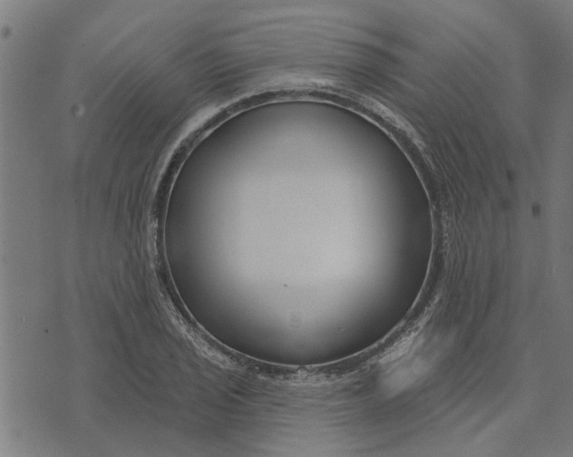 X0000073521029200608211759