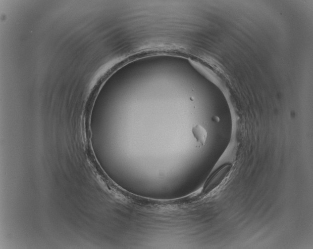 X0000073521030200608211759