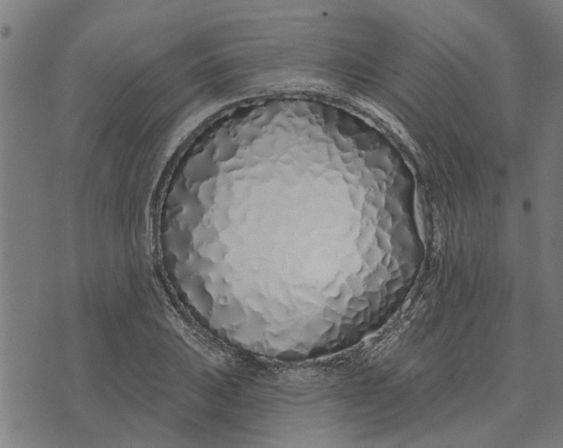 X0000073521031200608211759