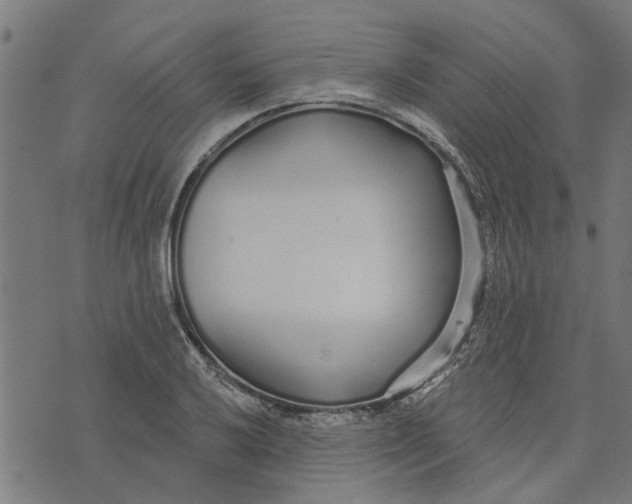 X0000073521032200608211759