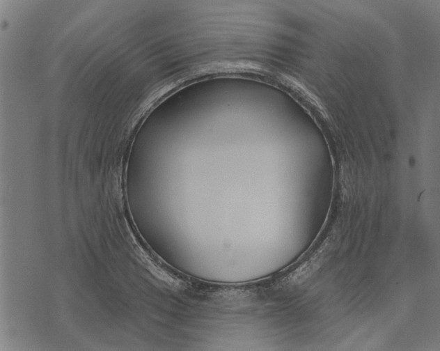 X0000073521033200608211759