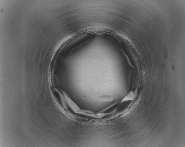 X0000073521034200608211759