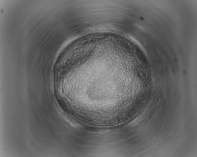 X0000073521035200608211759