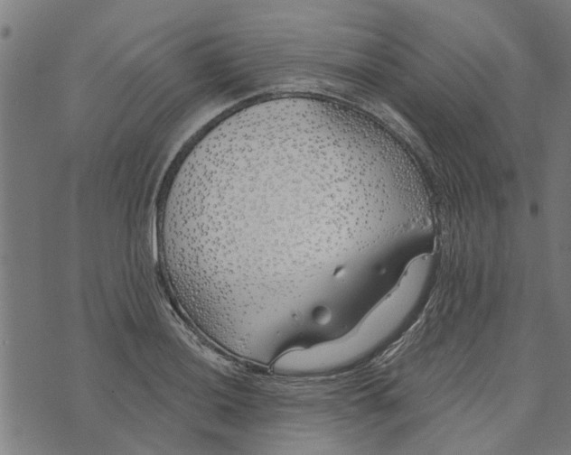 X0000073521036200608211759