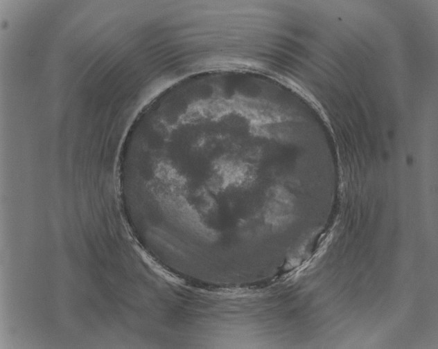 X0000073521037200608211759