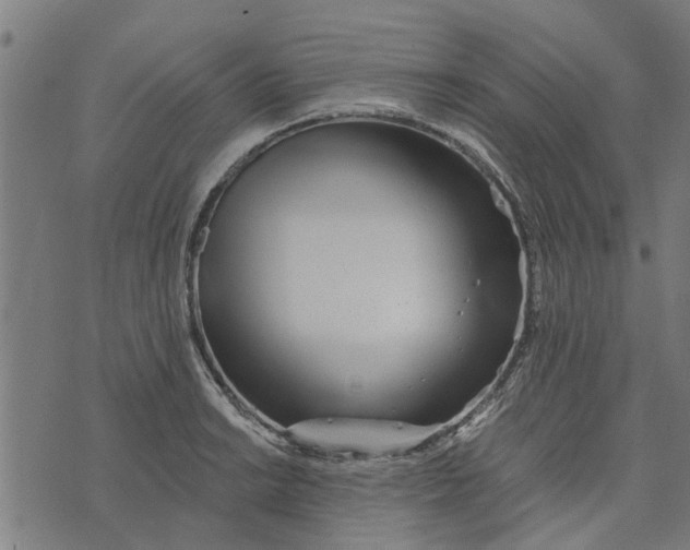 X0000073521038200608211759