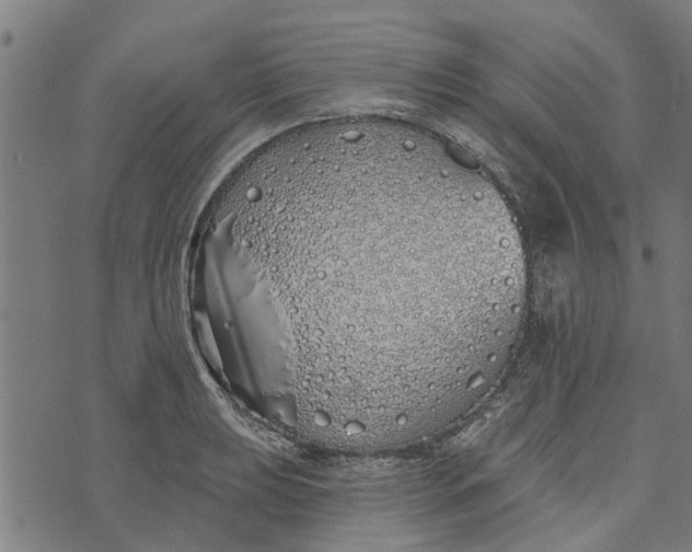 X0000073521039200608211759