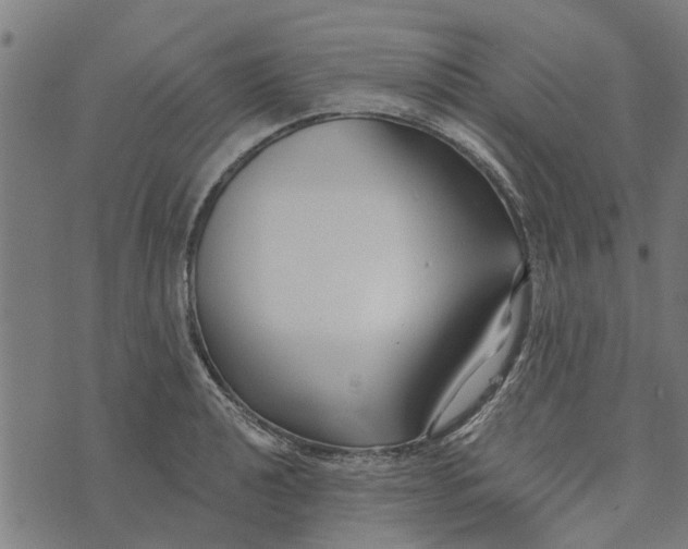 X0000073521040200608211759