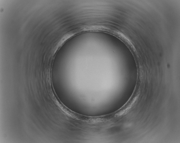 X0000073521041200608211759