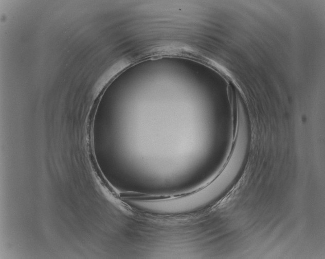 X0000073521042200608211759