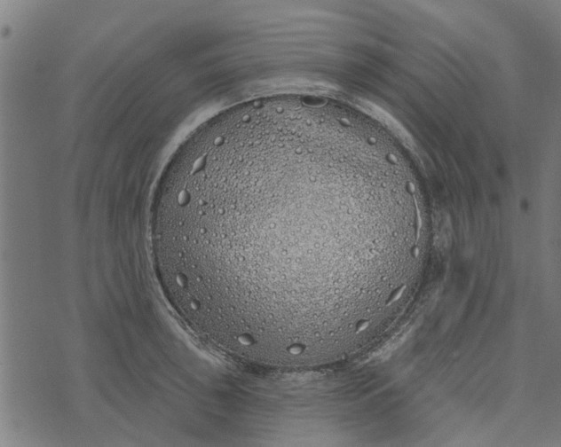 X0000073521043200608211759