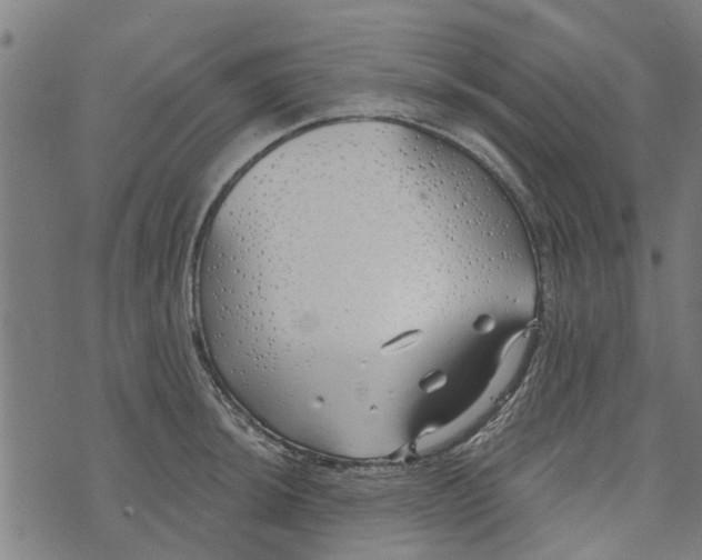 X0000073521044200608211759