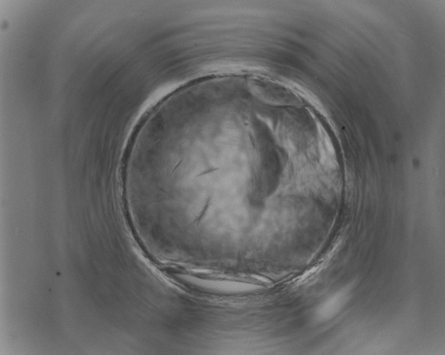 X0000073521045200608211759