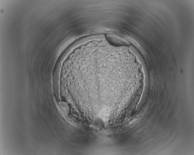 X0000073521047200608211800