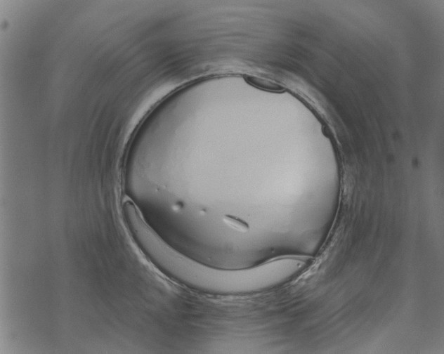 X0000073521048200608211800