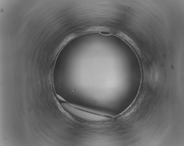 X0000073521049200608211800