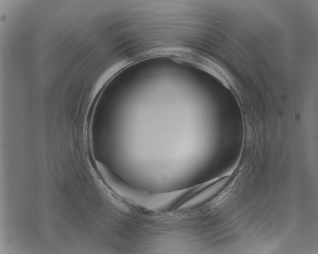 X0000073521050200608211800