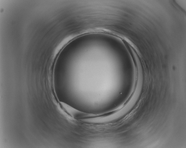 X0000073521054200608211800