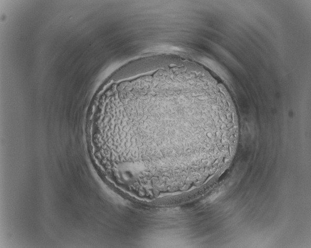 X0000073521055200608211800