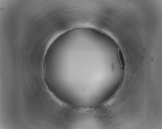 X0000073521056200608211800