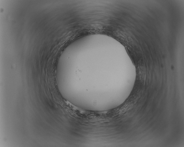 X0000073521057200608211759