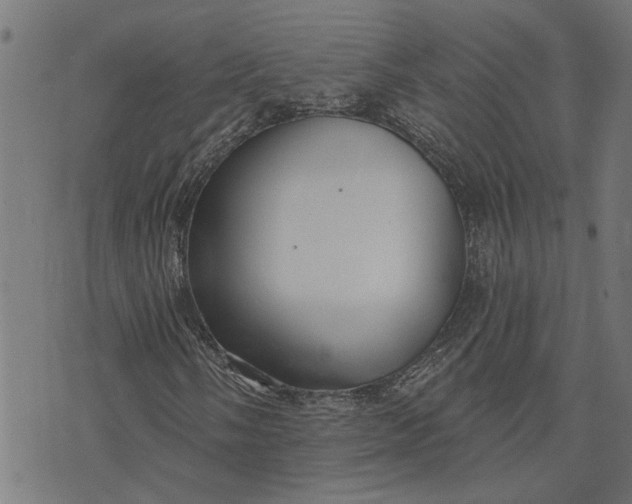 X0000073521058200608211759