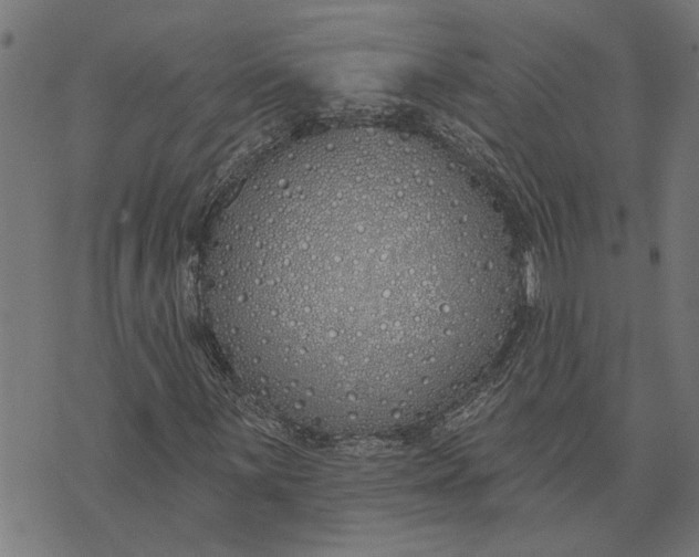 X0000073521059200608211759