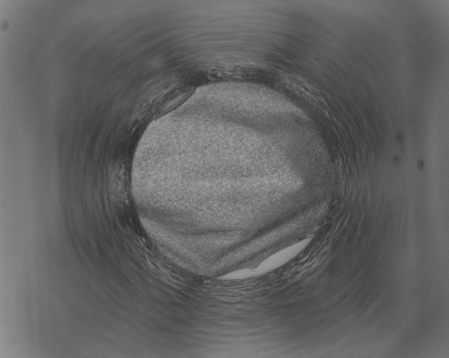 X0000073521060200608211759