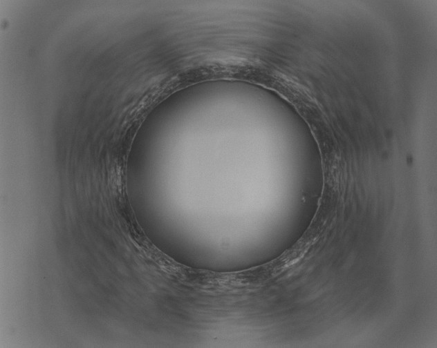 X0000073521061200608211759