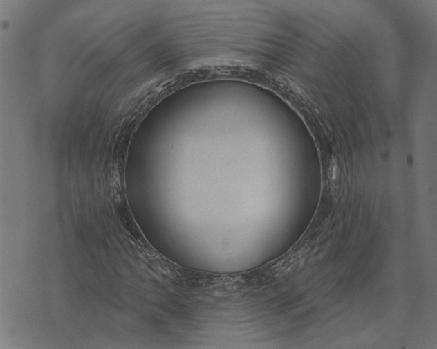 X0000073521062200608211759