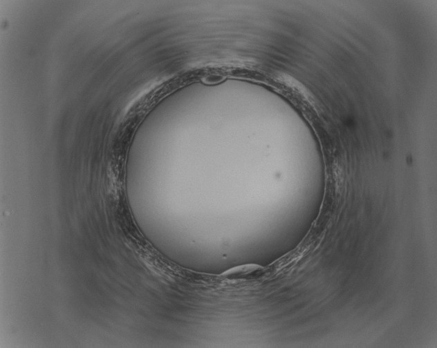 X0000073521064200608211759