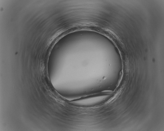 X0000073521065200608211759