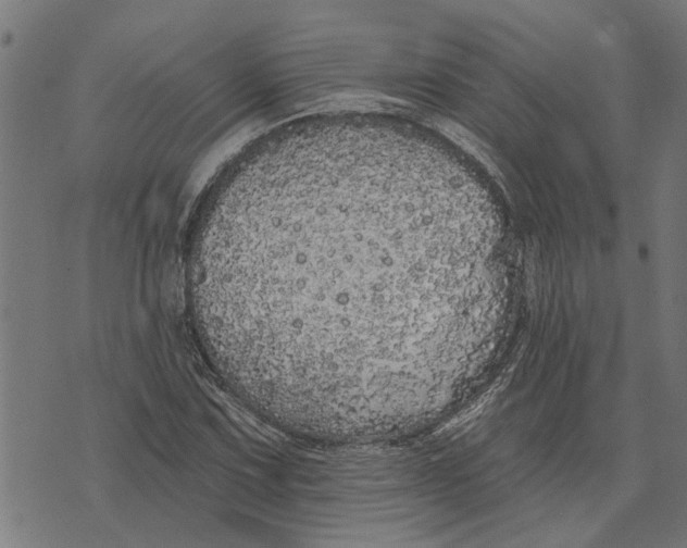 X0000073521067200608211759